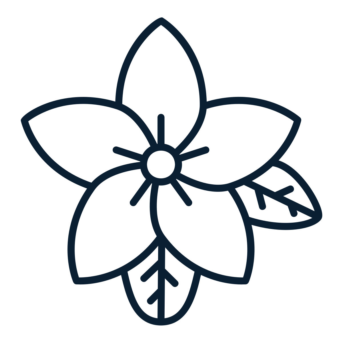 Apothecary - Flowers