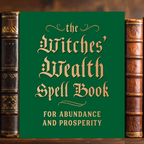 The Witches Wealth Book