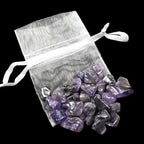 Chip Bag (20g)