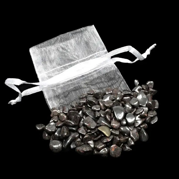 Chip Bag (20g)