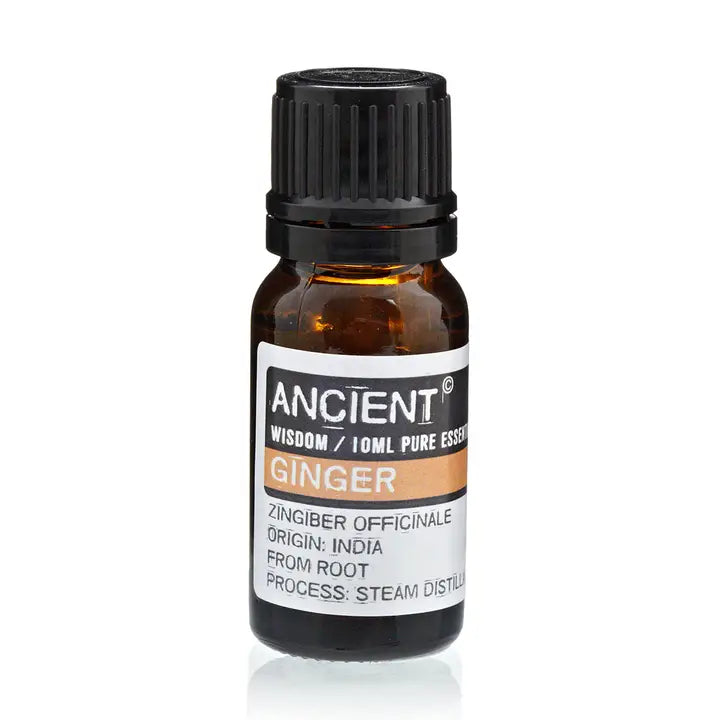 Ginger Essential Oil