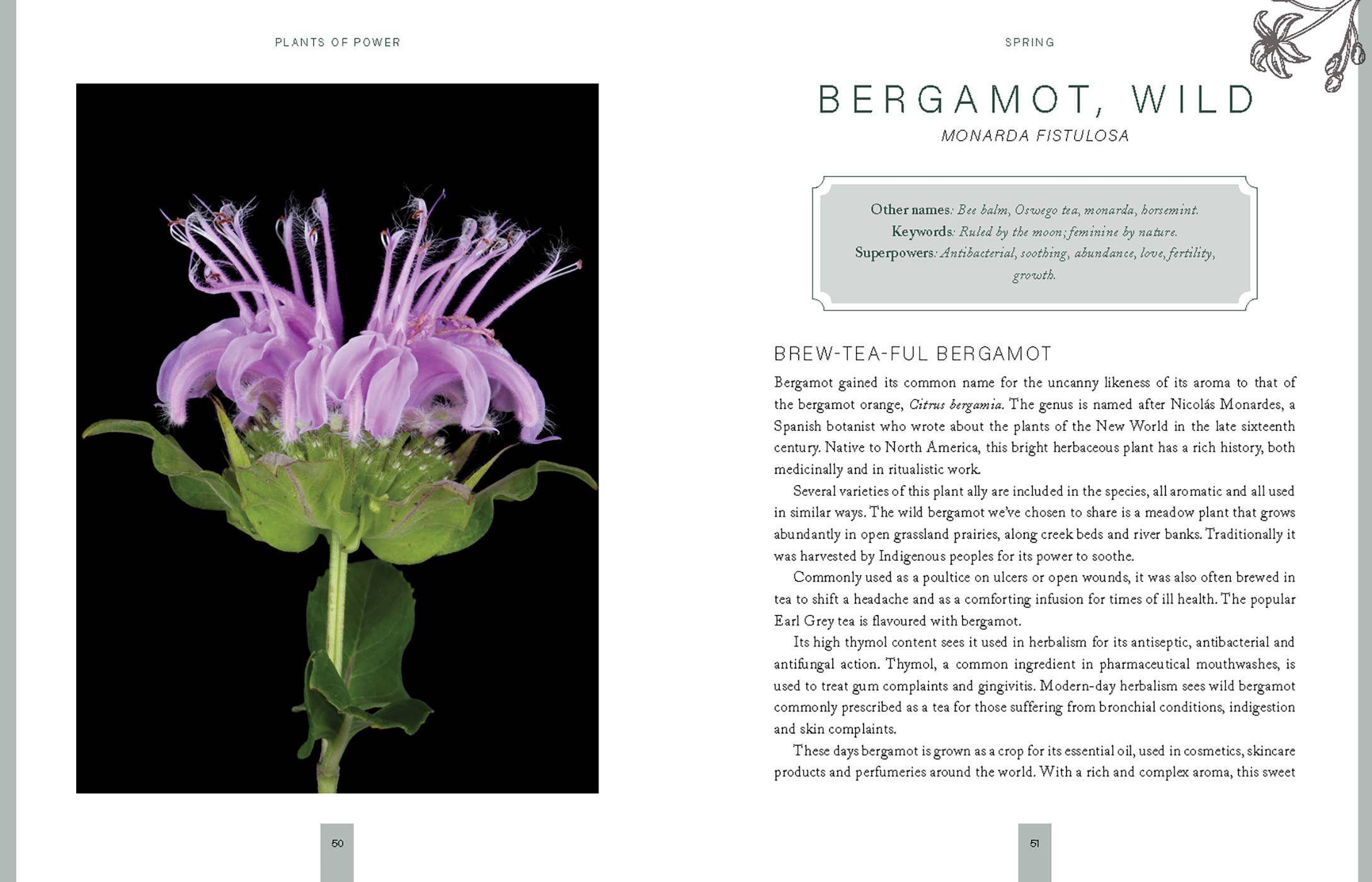 Plants of Power by Stacey Demarco & Miranda Mueller