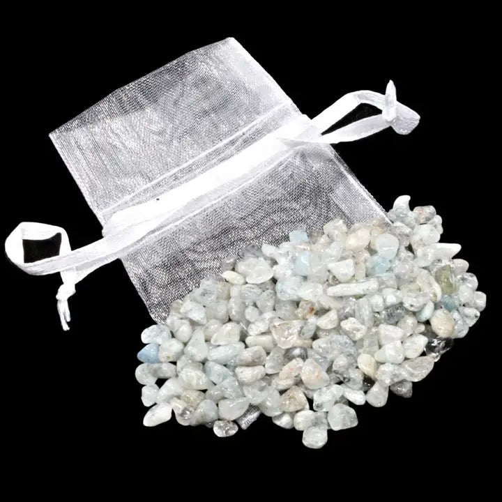 Chip Bag (20g)