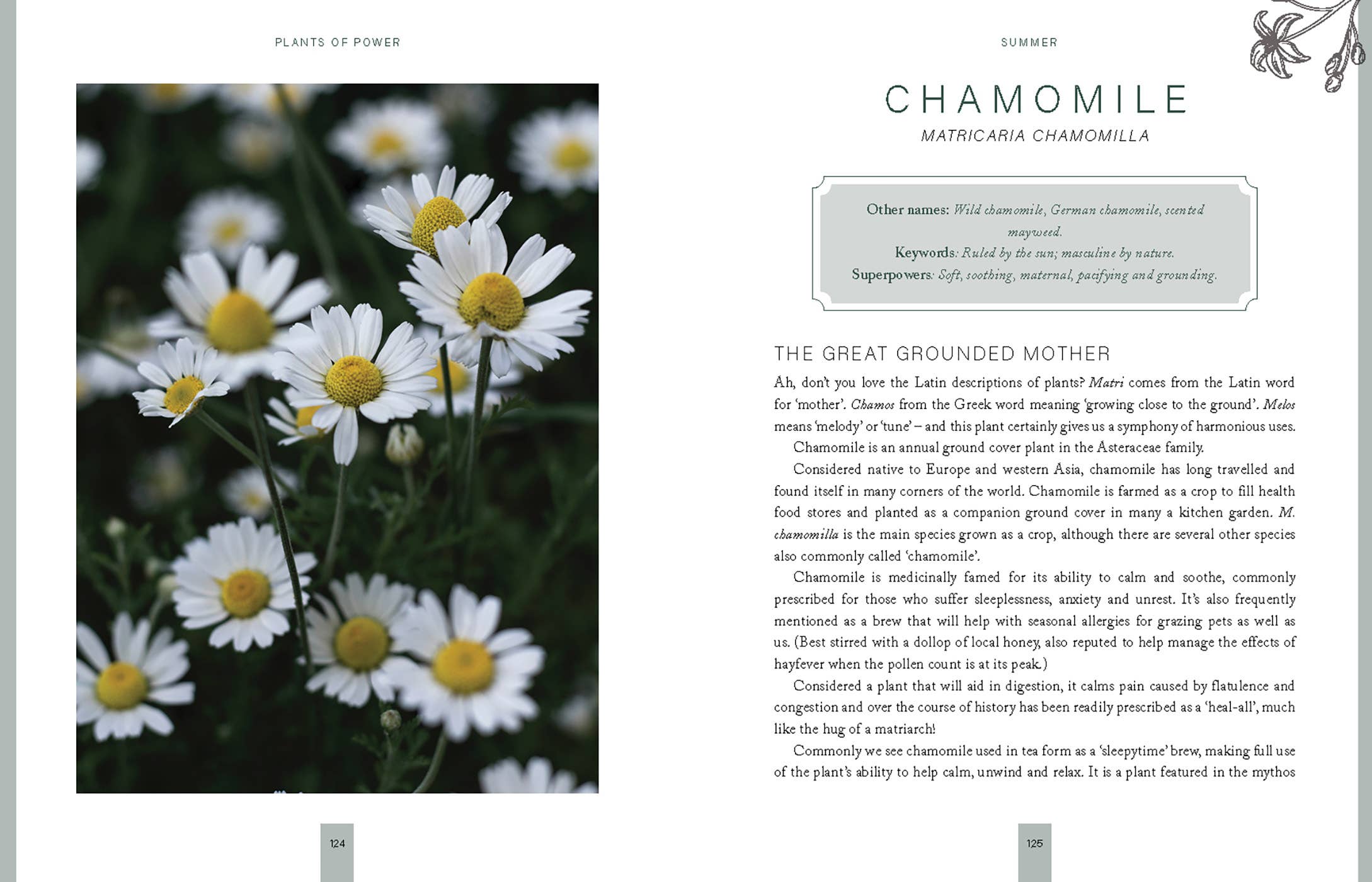 Plants of Power by Stacey Demarco & Miranda Mueller