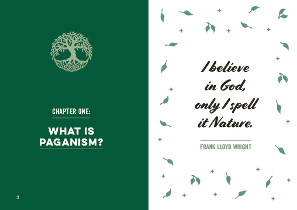 The Little Book of Paganism