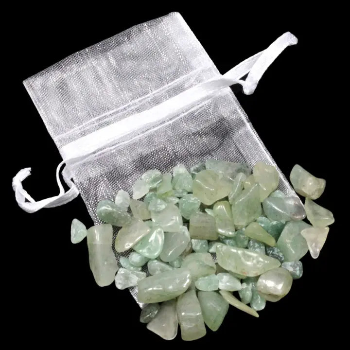 Chip Bag (20g)