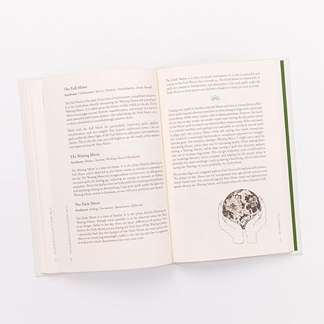 Green Witch's Guide To Herbal Magick