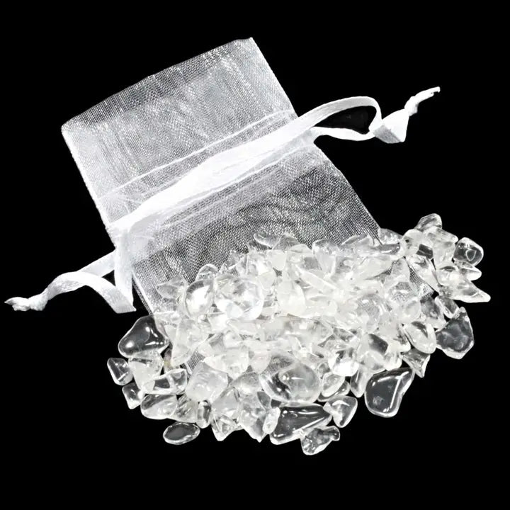 Chip Bag (20g)