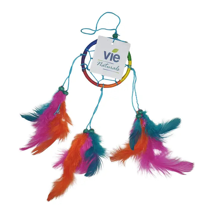 Small Feather Dream Catcher