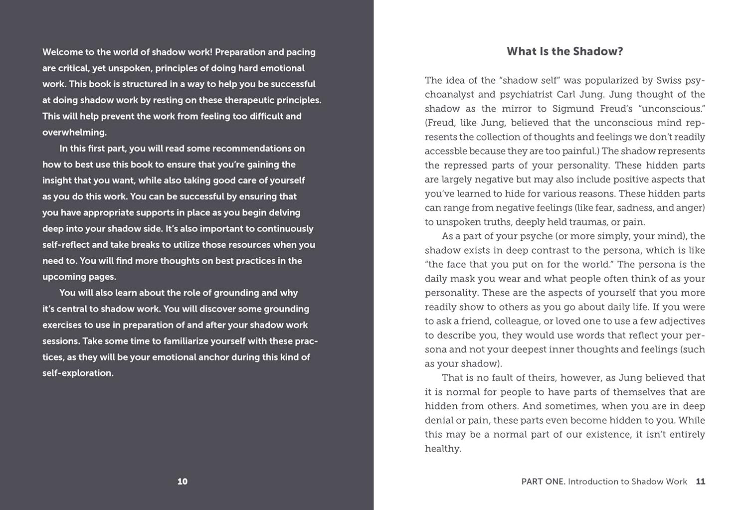 The Shadow Work Workbook