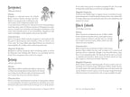 The Modern Witchcraft Guide to Magickal Herbs