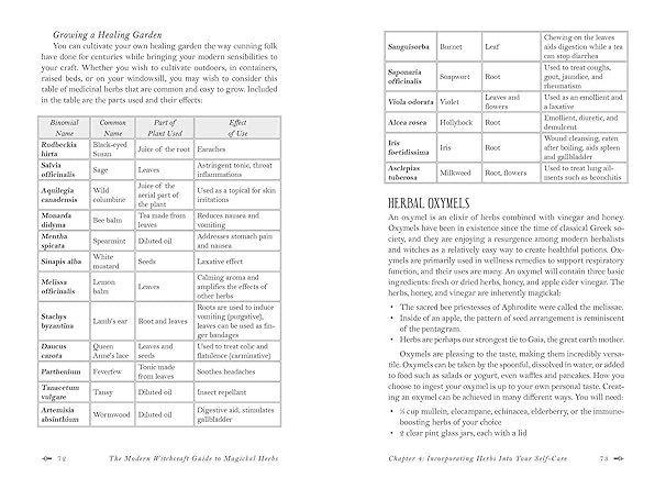 The Modern Witchcraft Guide to Magickal Herbs