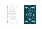 The Witch-ionary Oracle Deck