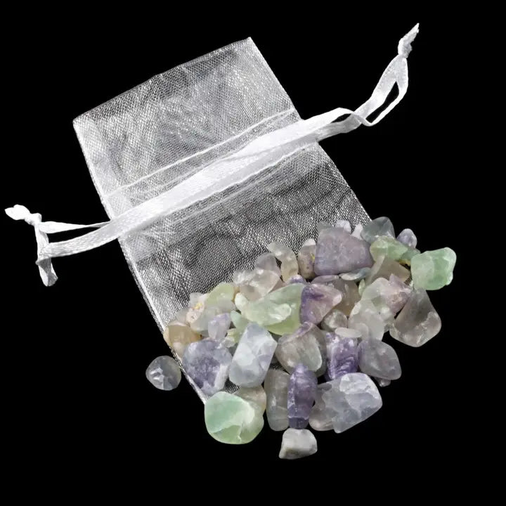 Chip Bag (20g)