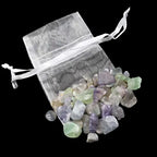 Chip Bag (20g)
