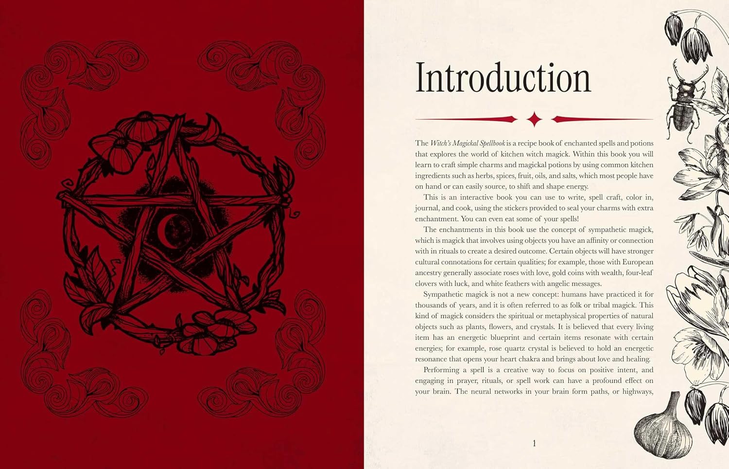 Witch's Magickal Spellbook