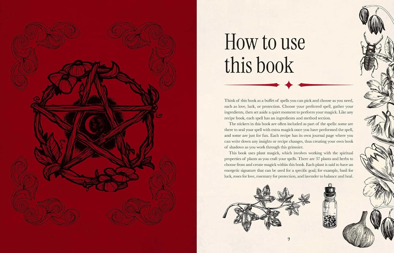Witch's Magickal Spellbook