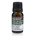 Scots Pine Essential Oil
