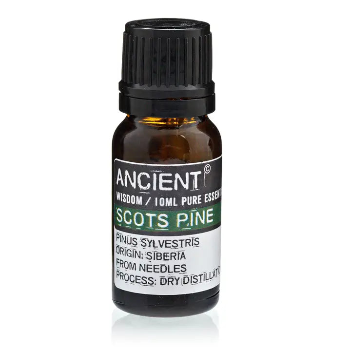 Scots Pine Essential Oil