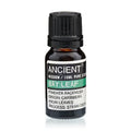 Bay Leaf Essential Oil