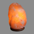 Himalayan Salt Lamp - Pink Medium