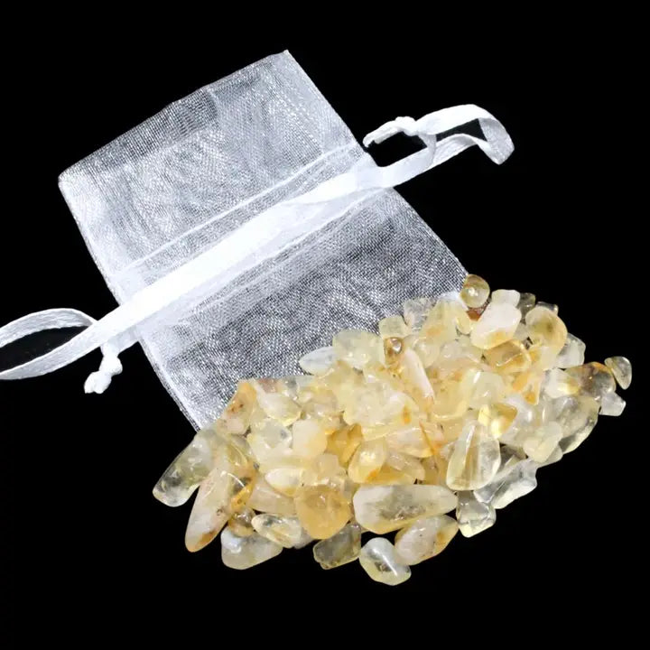 Chip Bag (20g)