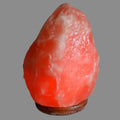 Himalayan Salt Lamp - Pink Large