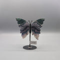 Rainbow Fluorite Butterfly 1