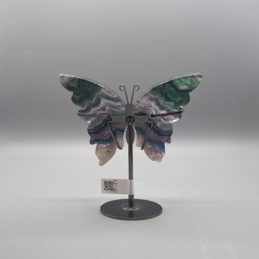 Rainbow Fluorite Butterfly 1