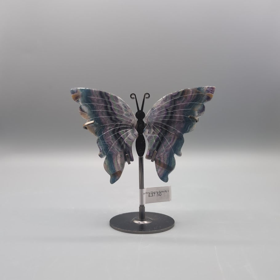 Rainbow Fluorite Butterfly 2