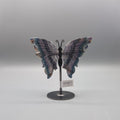 Rainbow Fluorite Butterfly 2