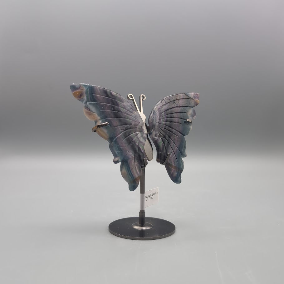 Rainbow Fluorite Butterfly 2