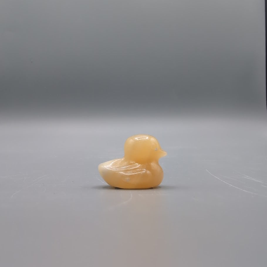 Duck Carving