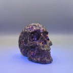 Skull Carving