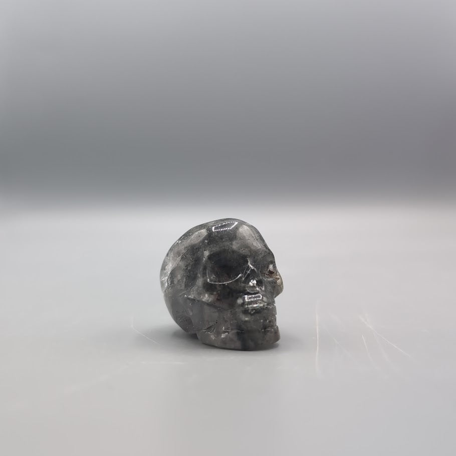 Skull Carving