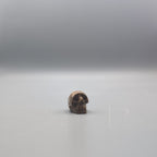 Skull Carving