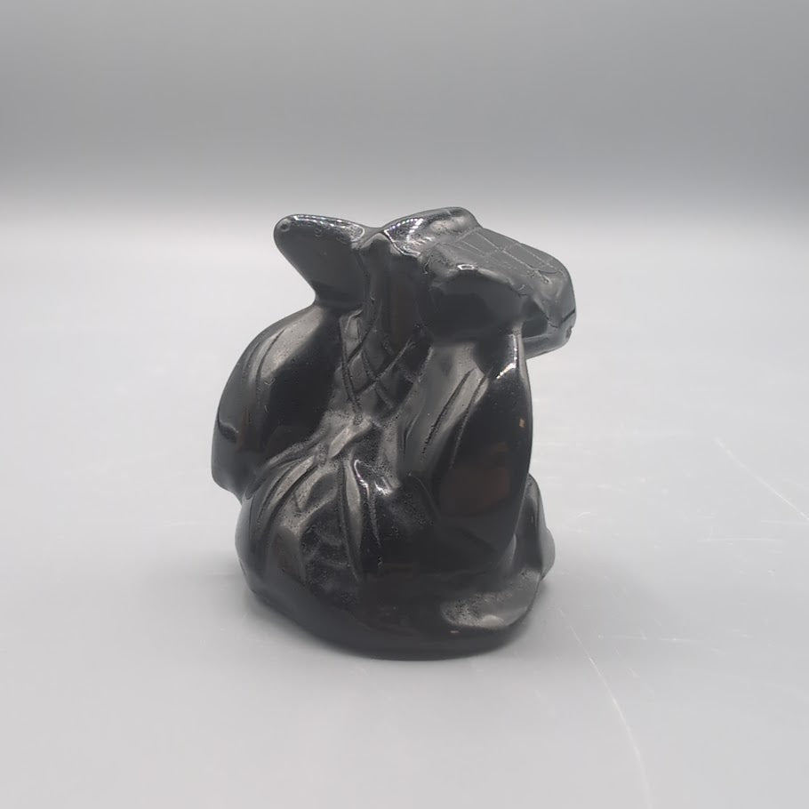 Obsidian Dragon Character