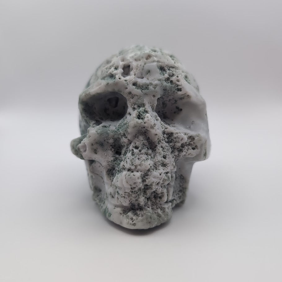 Skull Carving
