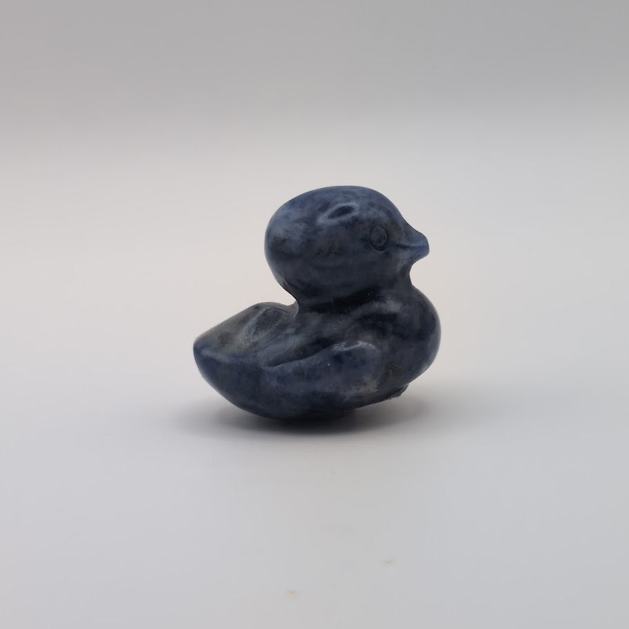 Duck Carving
