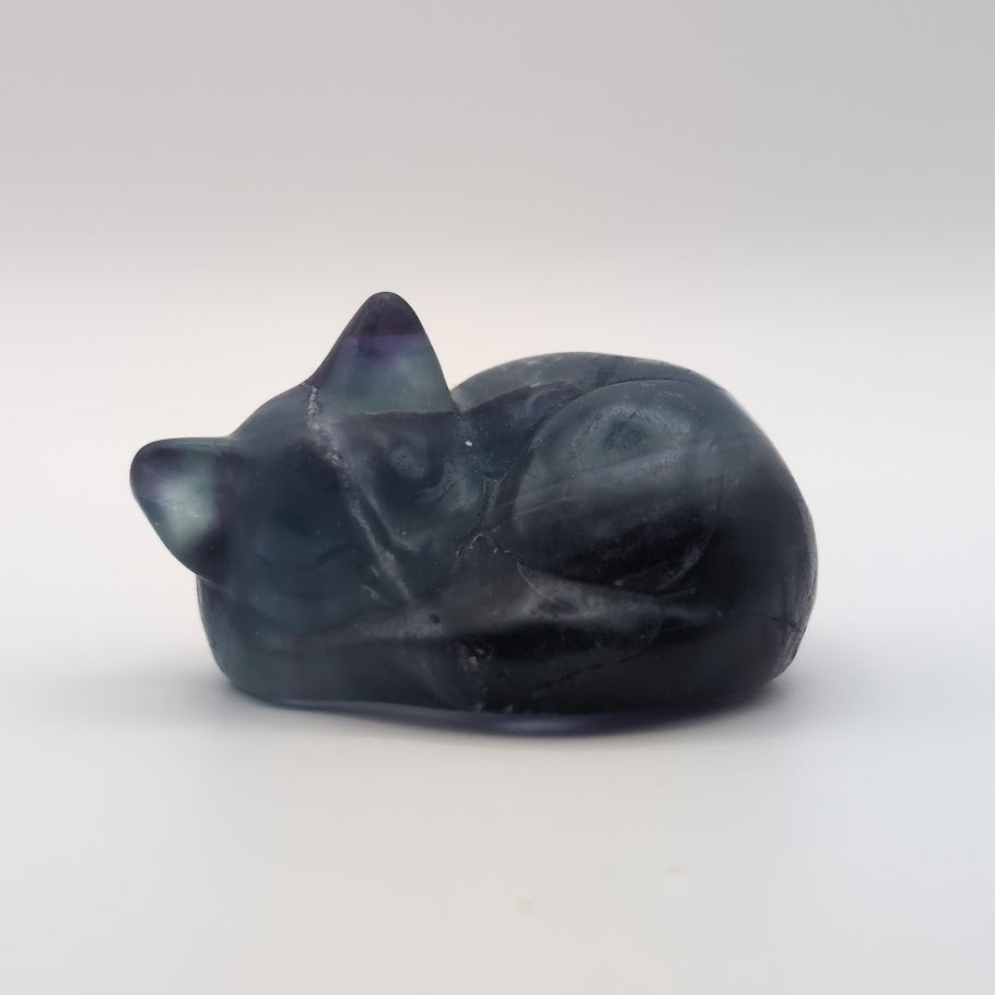 Sleeping Cat