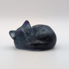 Sleeping Cat