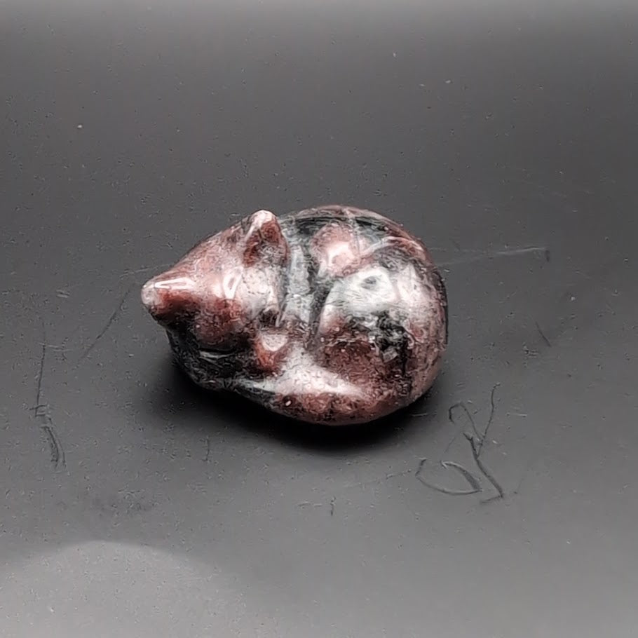 Sleeping Cat