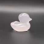 Duck Carving