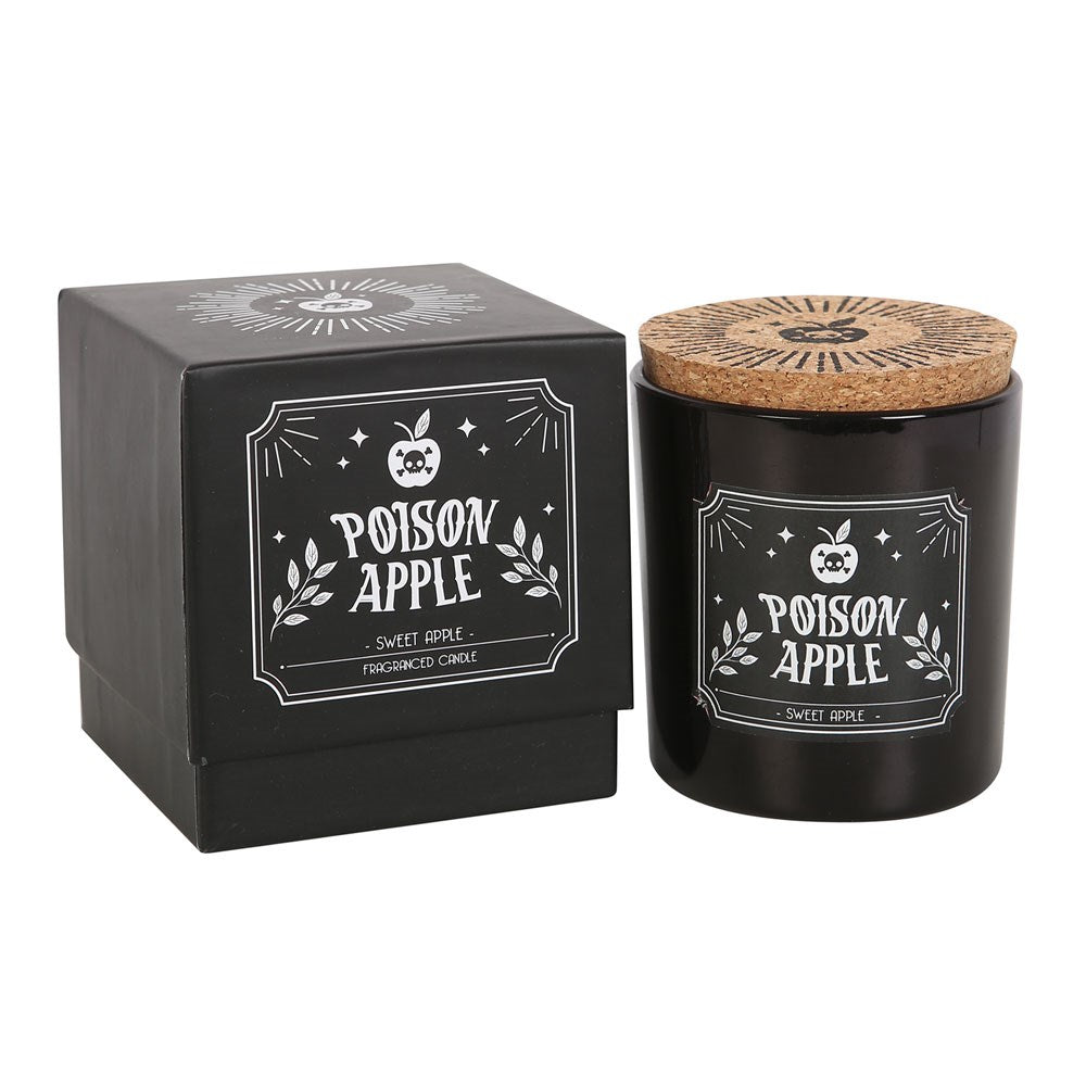 Midnight Rituals Boxed Candle