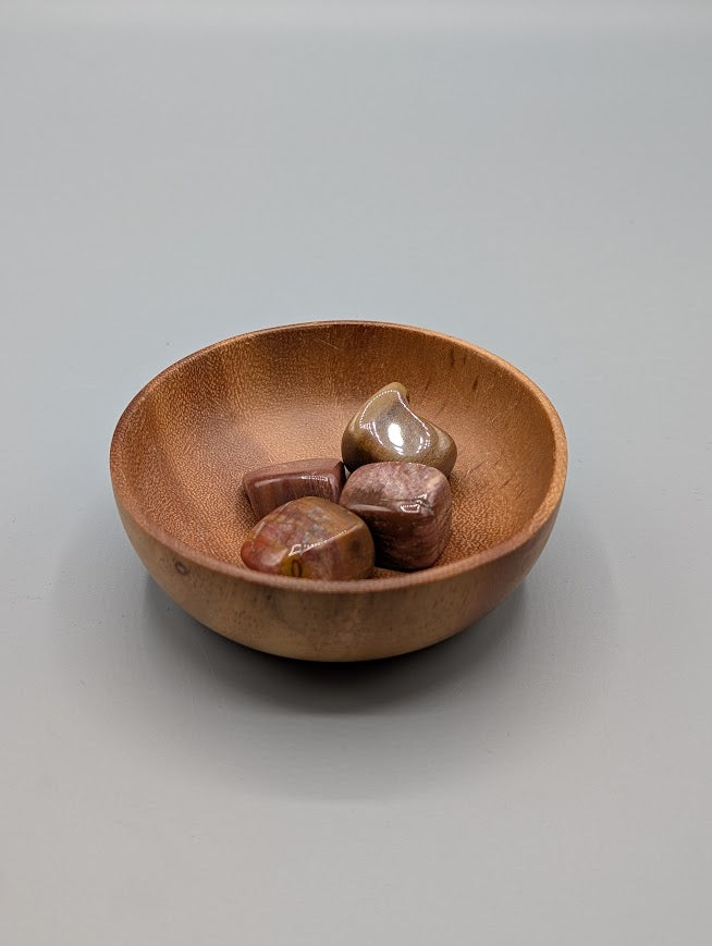 Petrified Wood Tumble