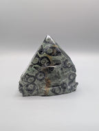 Kambaba Jasper Rough Cut