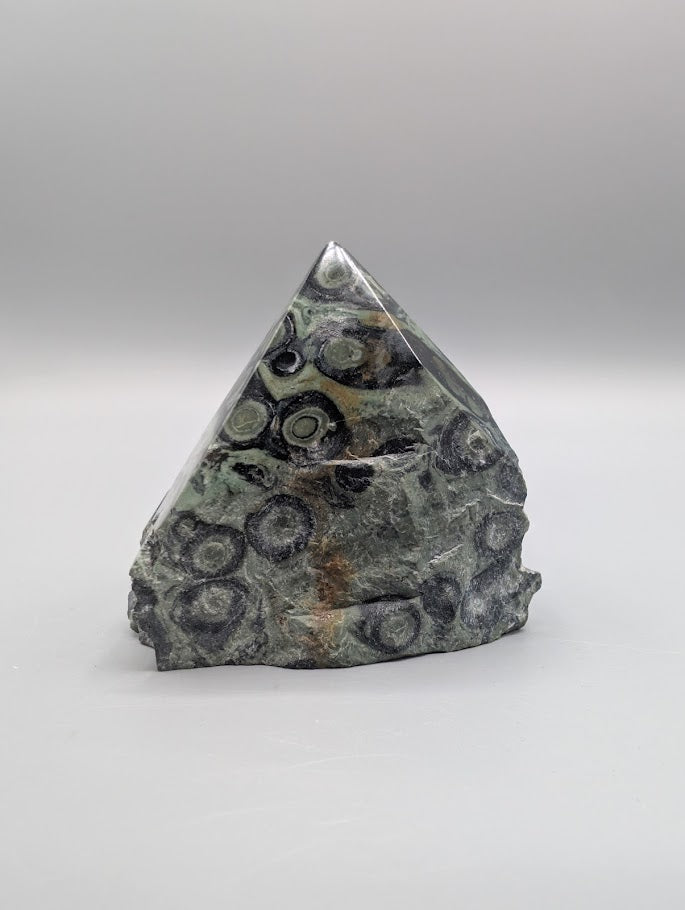 Kambaba Jasper Rough Cut