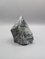 Kambaba Jasper Rough Cut
