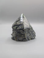 Kambaba Jasper Rough Cut