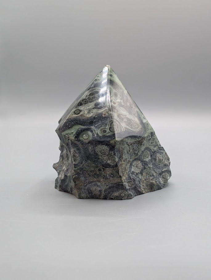 Kambaba Jasper Rough Cut